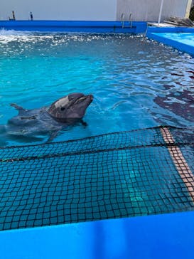 ゼロ距離水族館 伊勢シーパラダイスに投稿された画像（2022/12/23）