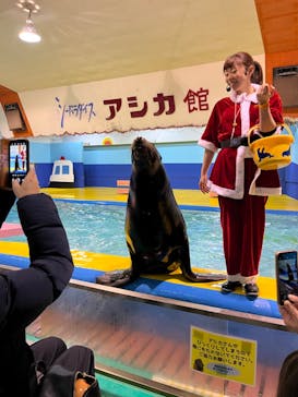 ゼロ距離水族館 伊勢シーパラダイスに投稿された画像（2022/12/23）