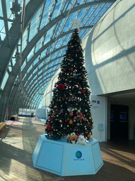 環境水族館アクアマリンふくしまに投稿された画像（2022/12/23）