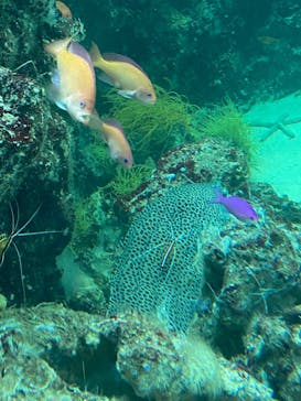 環境水族館アクアマリンふくしまに投稿された画像（2022/12/23）