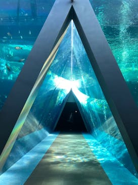 環境水族館アクアマリンふくしまに投稿された画像（2022/12/23）