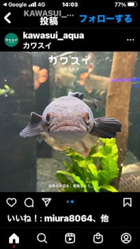 カワスイ 川崎⽔族館に投稿された画像（2022/12/23）