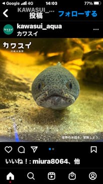 カワスイ 川崎⽔族館に投稿された画像（2022/12/23）