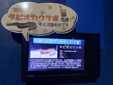 沖縄美ら海水族館に投稿された画像（2022/12/23）