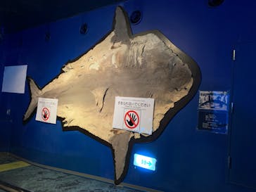 沖縄美ら海水族館に投稿された画像（2022/12/23）