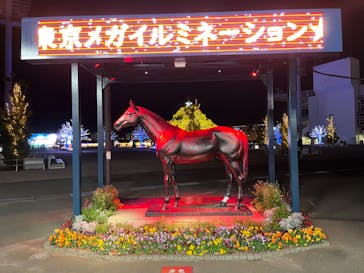 東京メガイルミに投稿された画像（2022/12/23）