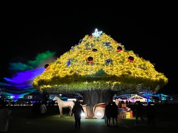 東京メガイルミに投稿された画像（2022/12/23）