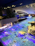 すみだ水族館に投稿された画像（2022/12/23）