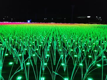 東京メガイルミに投稿された画像（2022/12/23）