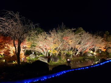 なばなの里に投稿された画像（2022/12/23）