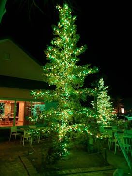 なばなの里に投稿された画像（2022/12/23）