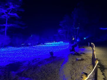 KYOTO ILLUMINATION SYNESTHESIA HILLS るり渓温泉に投稿された画像（2022/12/23）