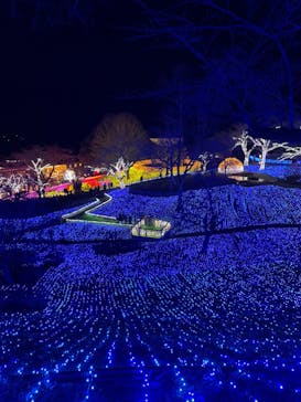 さがみ湖MORI MORIに投稿された画像（2022/12/23）