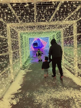 KYOTO ILLUMINATION SYNESTHESIA HILLS るり渓温泉に投稿された画像（2022/12/23）