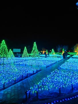 なばなの里に投稿された画像（2022/12/23）