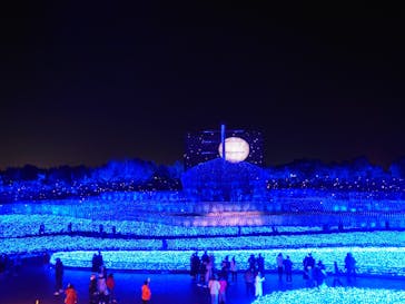 なばなの里に投稿された画像（2022/12/23）