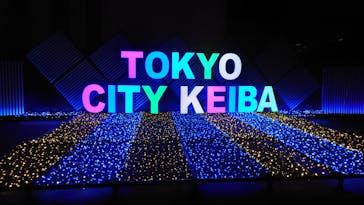 東京メガイルミに投稿された画像（2022/12/23）