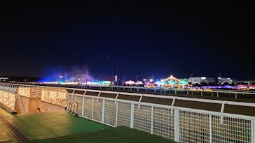 東京メガイルミに投稿された画像（2022/12/23）