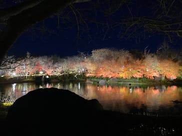 なばなの里に投稿された画像（2022/12/23）