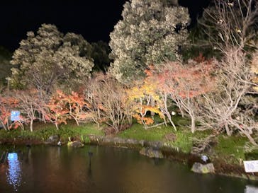 なばなの里に投稿された画像（2022/12/23）