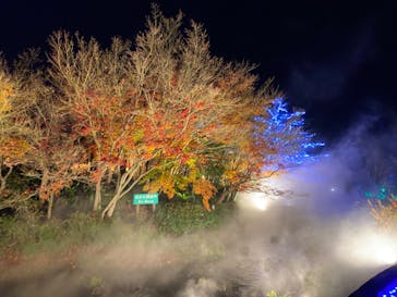 なばなの里に投稿された画像（2022/12/23）