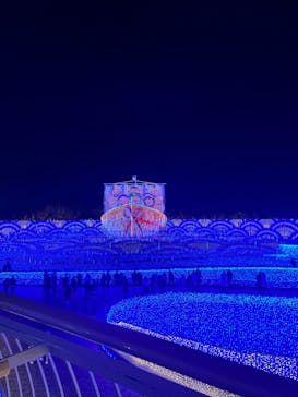 なばなの里に投稿された画像（2022/12/24）