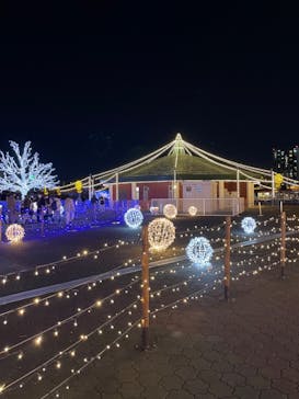 東京メガイルミに投稿された画像（2022/12/24）