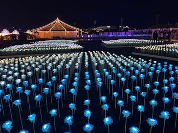 東京メガイルミに投稿された画像（2022/12/24）