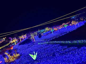 伊豆ぐらんぱる公園に投稿された画像（2022/12/24）