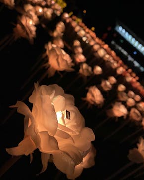 東京メガイルミに投稿された画像（2022/12/24）