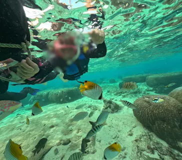 武藤潜水に投稿された画像（2022/12/24）