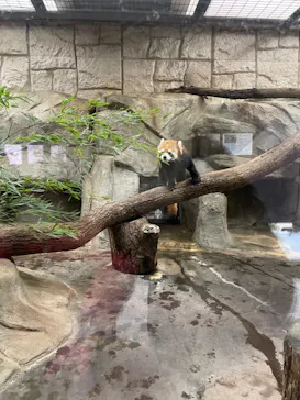 天王寺動物園に投稿された画像（2022/12/24）