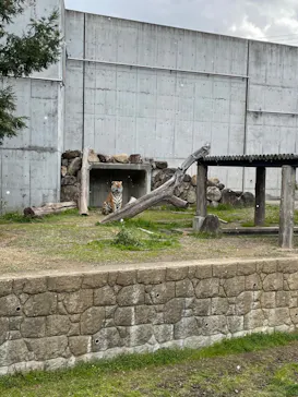 天王寺動物園に投稿された画像（2022/12/24）