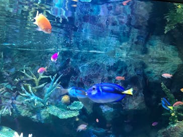 サンシャイン水族館に投稿された画像（2022/12/24）