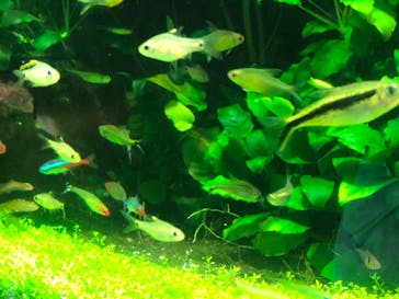 サンシャイン水族館に投稿された画像（2022/12/24）