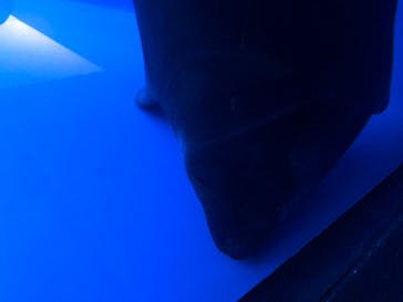 サンシャイン水族館に投稿された画像（2022/12/24）