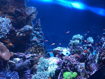 サンシャイン水族館に投稿された画像（2022/12/24）