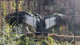 天王寺動物園に投稿された画像（2022/12/24）