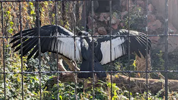 天王寺動物園に投稿された画像（2022/12/24）