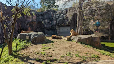 天王寺動物園に投稿された画像（2022/12/24）