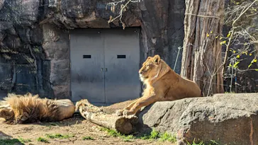 天王寺動物園に投稿された画像（2022/12/24）