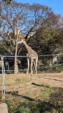 天王寺動物園に投稿された画像（2022/12/24）