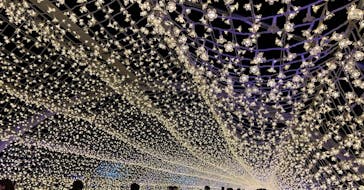 東京メガイルミに投稿された画像（2022/12/24）