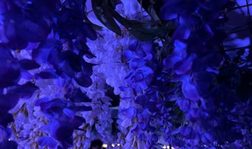 東京メガイルミに投稿された画像（2022/12/24）