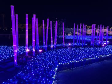 東京メガイルミに投稿された画像（2022/12/24）