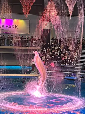 マクセル アクアパーク品川に投稿された画像（2022/12/24）