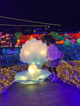 伊豆ぐらんぱる公園に投稿された画像（2022/12/24）