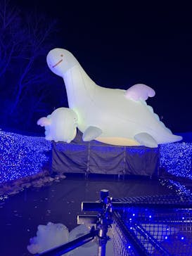 さがみ湖MORI MORIに投稿された画像（2022/12/24）