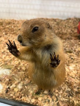 アニタッチみなとみらいに投稿された画像（2022/12/24）