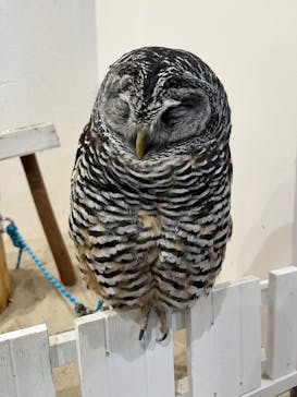 アニタッチみなとみらいに投稿された画像（2022/12/24）